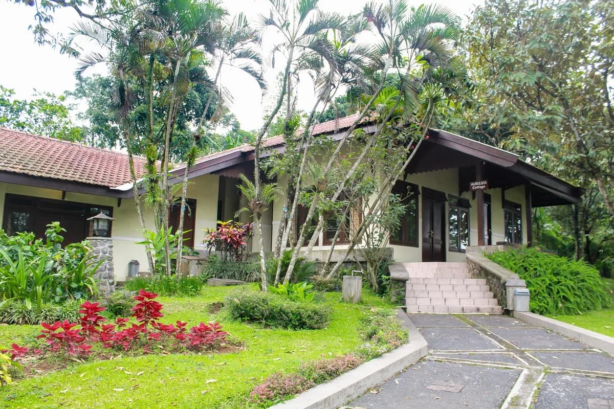 Albizia Cottage berlantai satu dengan papan nama Albizzia Cottage, tangga batu, dan taman berpalem di halamannya.