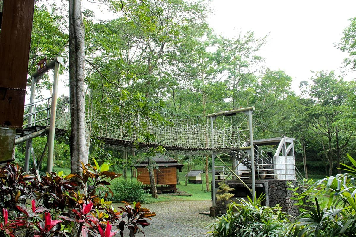 Jembatan tali di area outbound UTC membentang di antara pepohonan tinggi, dengan gazebo kayu di bawahnya.