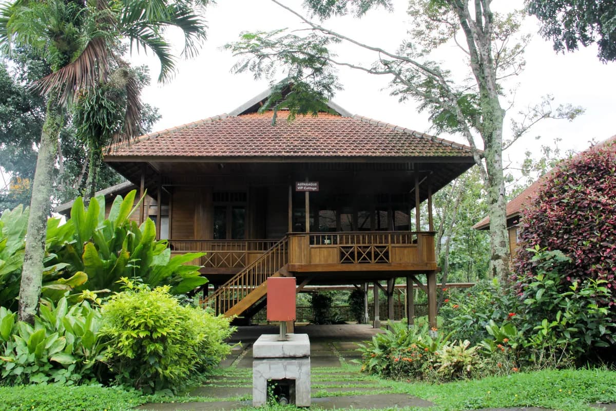 VIP Cottage berbentuk rumah panggung kayu dengan papan nama Asparagus VIP Cottage, teras berpagar, dan taman di depannya.